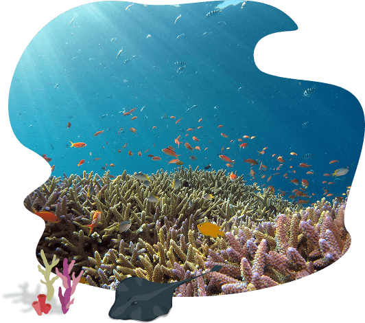 Underwater adventure