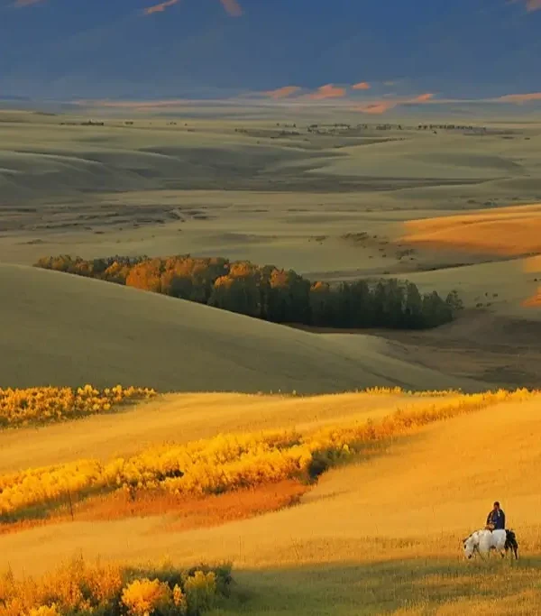 b2af136a8923b098579fab8991333ad5cd1cf880