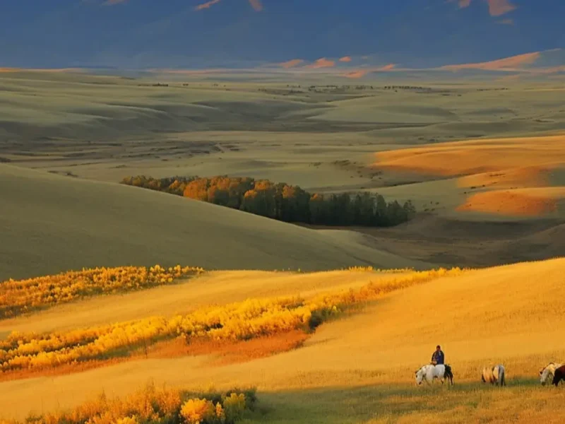 Why Now Is the Best Time to Visit Bali