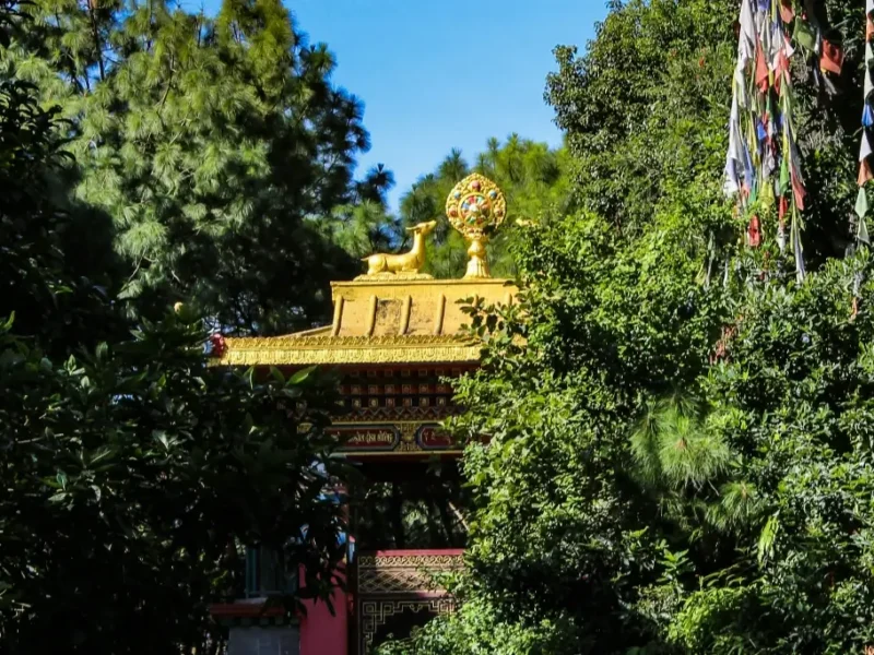 How to Plan the Perfect Vacation Without the Stress