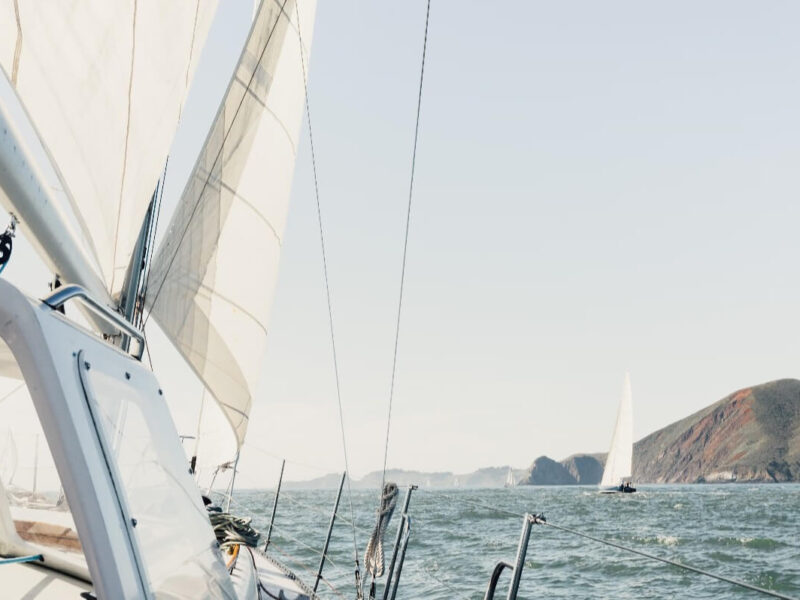 In the Realm of Tigers: A Jungle Safari Experience