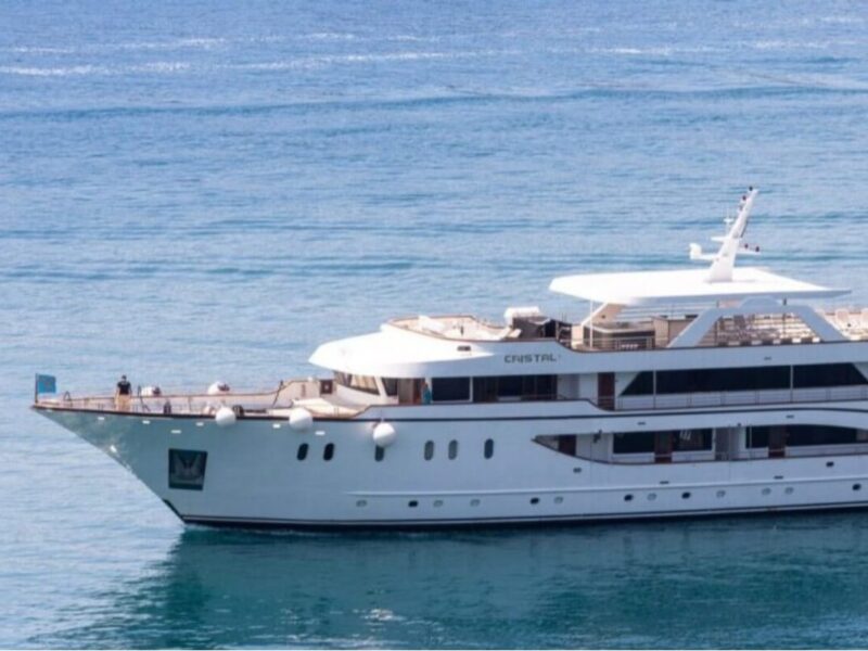 Exploring Untamed Africa: Jeep Safari Adventures