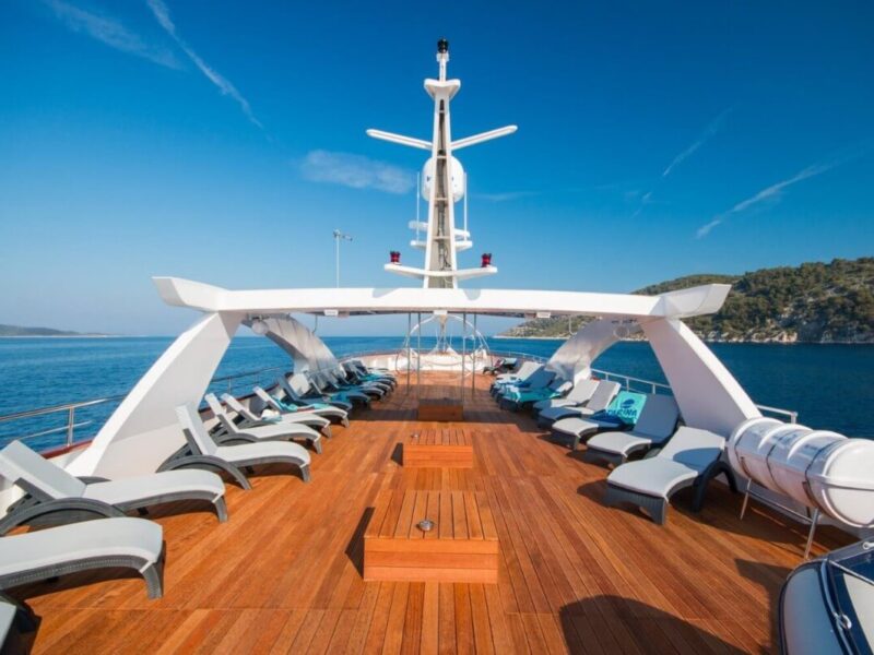 Stories From the Wild: A Traveler’s Perspective